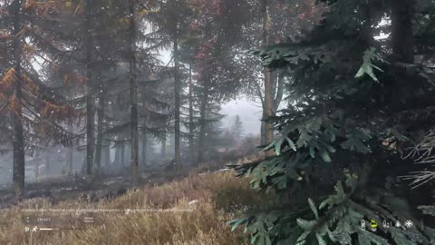 DayZ Livonia RP – Season 3 Day 5 at AroKc’s Fishing Camp 🎣 Survival, Encounters & Organic RP LIVE