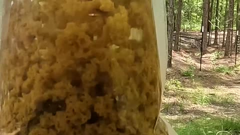 Filter DIRTY Water