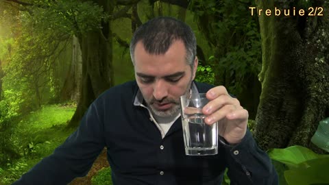 Trebuie 2_2