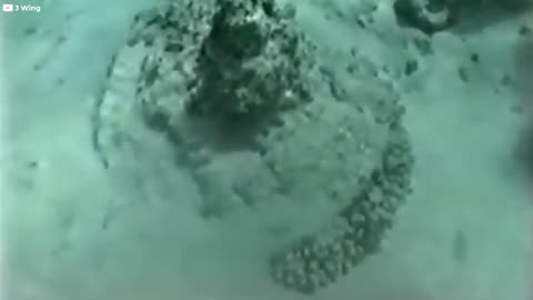 Salvage Divers Just Found Pharaoh’s Chariot Wheel in the Red Sea, And It's Not Good