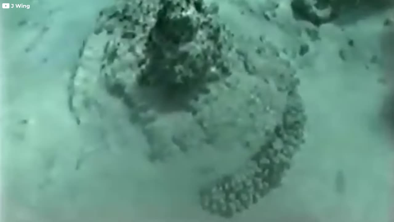 Salvage Divers Just Found Pharaoh’s Chariot Wheel in the Red Sea, And It's Not Good
