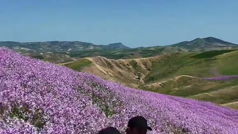 Nature's Masterpiece: The Stunning Landscapes of Morocco
