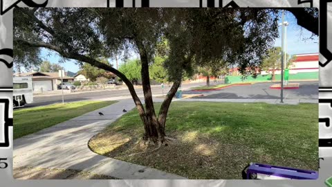 "50Street OutReach" (05.26.25)