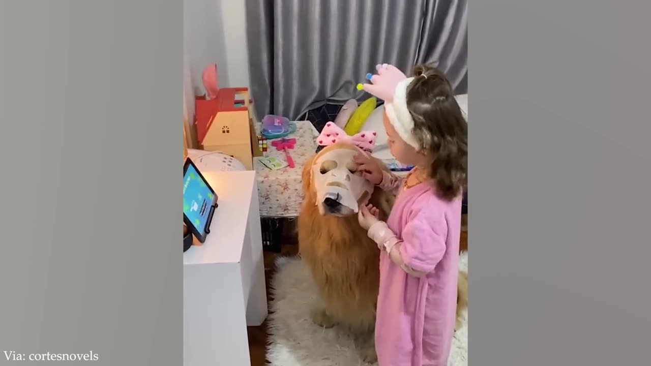 Funny pet's theses all are amazingš¤©