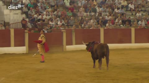 T15E28 | Tendido Diez | 27-08-2025