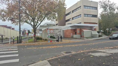 #Live #IRL #ICE #Portland #Antifa #Protest #Lefists acting like Fascists