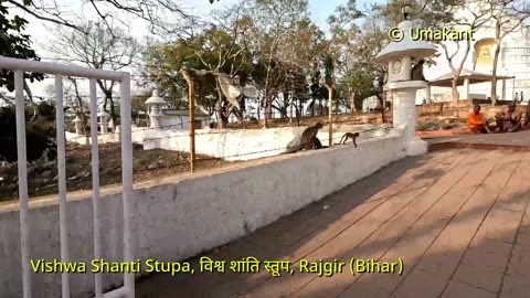 Vishwa Shanti Stupa, विश्व शांति स्तूप, Rajgir (Bihar) Full Video With Cable Car | 4K Tour