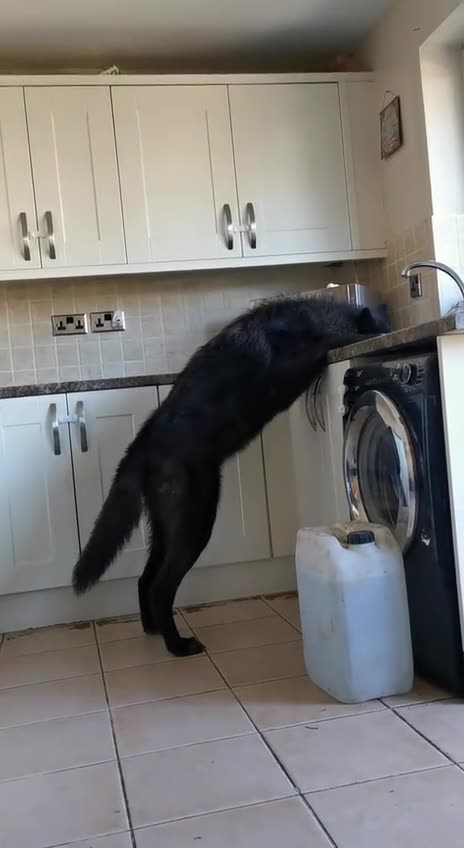 Where did you hide the snacks 😊