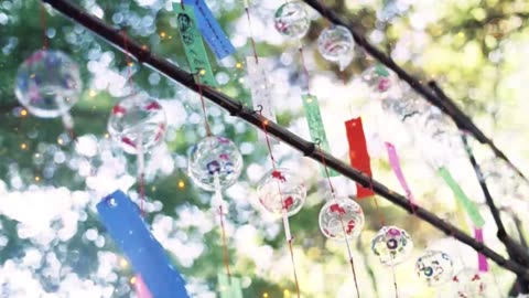 Cute Cozy Music, Summer Vibe (Polar Bear Swimming), Royalty Free Music [free download]