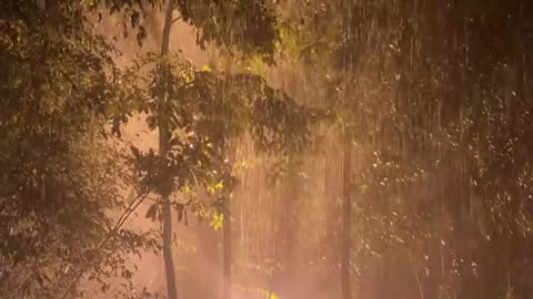 Sleep Instantly in Rainforest with Heavy Rainstorm & Mighty Thunder Encircling Misty Forest at Night