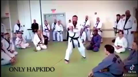 Hapkido