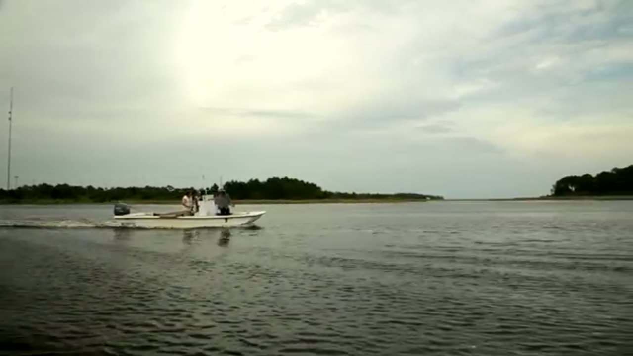 James McMurtry · Forgotten Coast