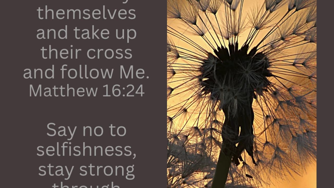 Take up the Cross & Follow Jesus