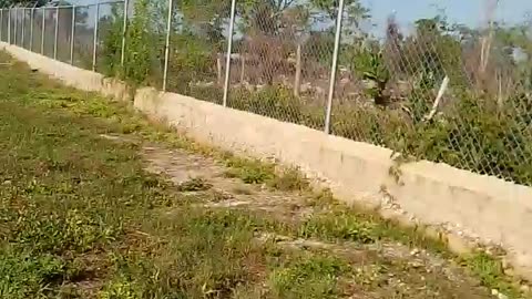 Panel solar