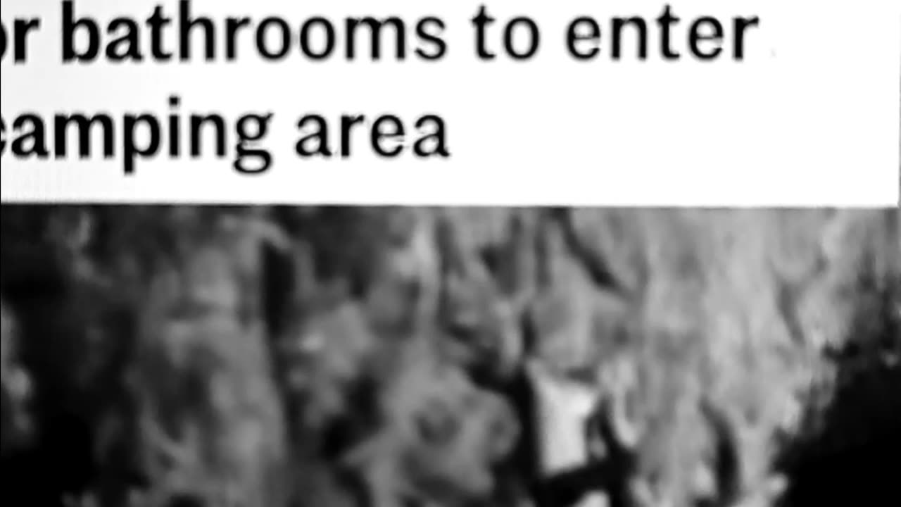 Coachella carmageddon disaster