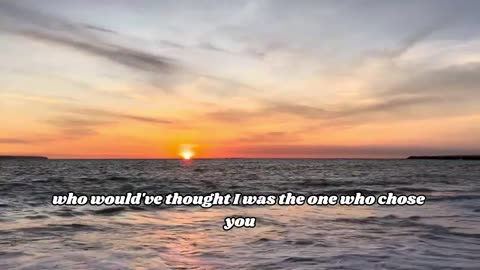 YOU NEVER LOVED ME (LYRIC)