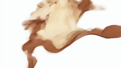 taz mania