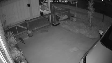 😱🚗 Home Security Video: Ghostly Figure Near Car | TheHauntingHour