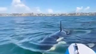 😱💪 Stay Calm Among Trained Killers! | FunFM