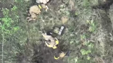 Ukraine war conbat footage 2023 bukhmut