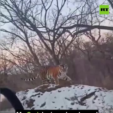 Ukraine war related/combat footage 12/10/2025