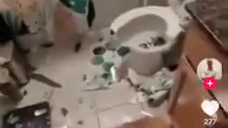 🤣📱 Genius Way to Take a Kid's Phone Without Consequences! | FunFM