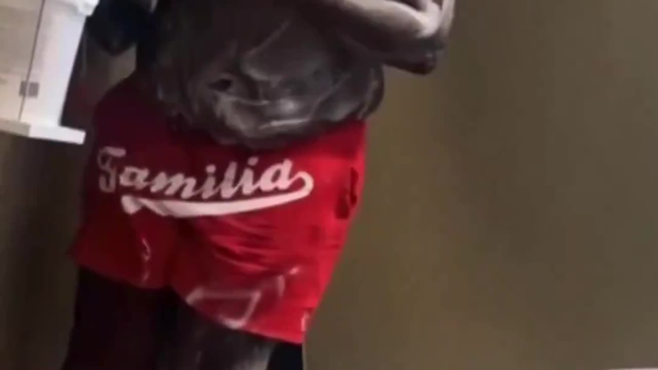 Diversity enriches classroom