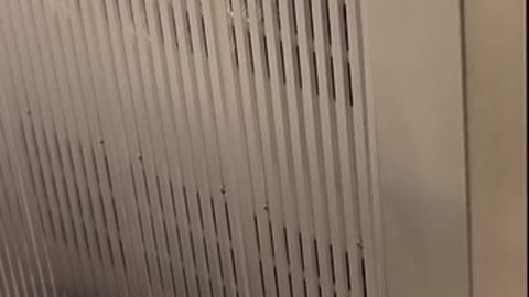 VTL Siegfried Reference Poweramp