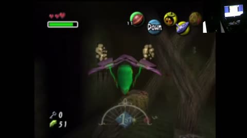 Vinny's Experience
