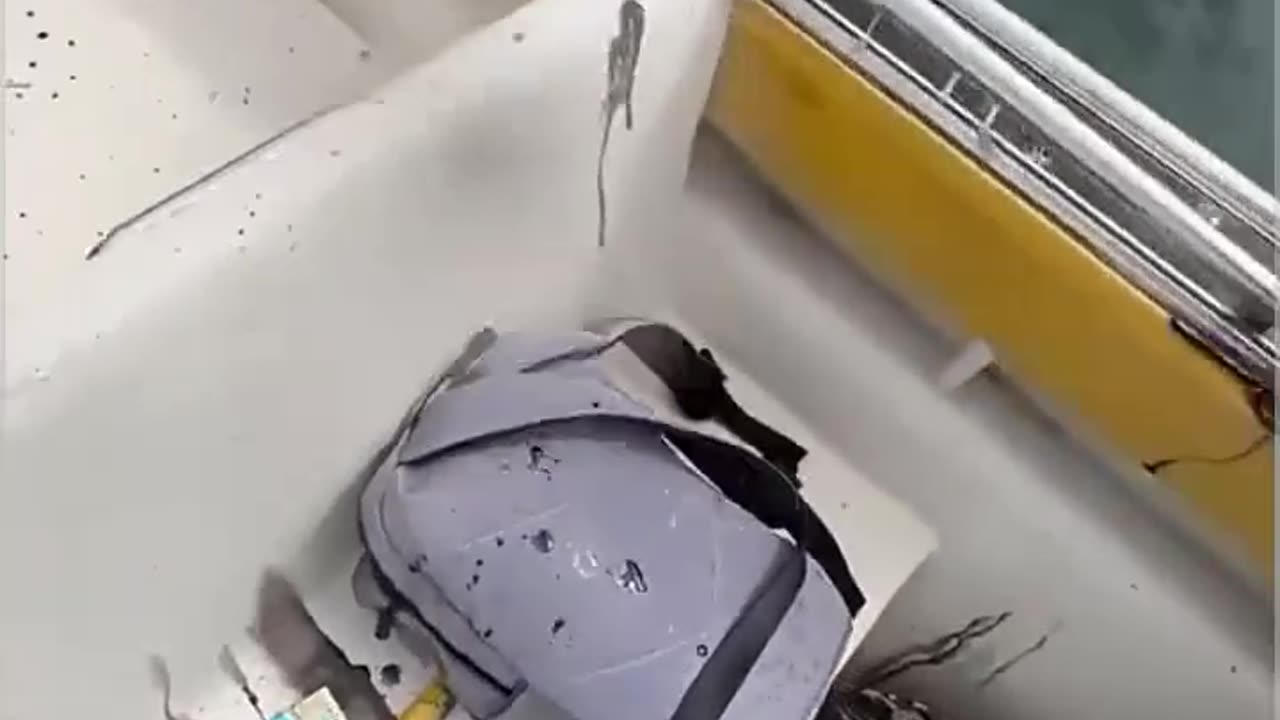 "Squid’s Revenge – Inks the Man Right in the Face!" 🦑🎯🤣#viralvideo