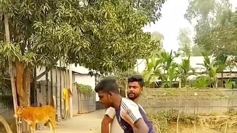 Funny Video (Follow My Channel)