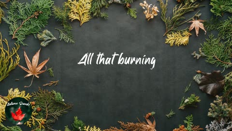 Yeah Yeah Yeahs - Burning (2022)(Lyric video)