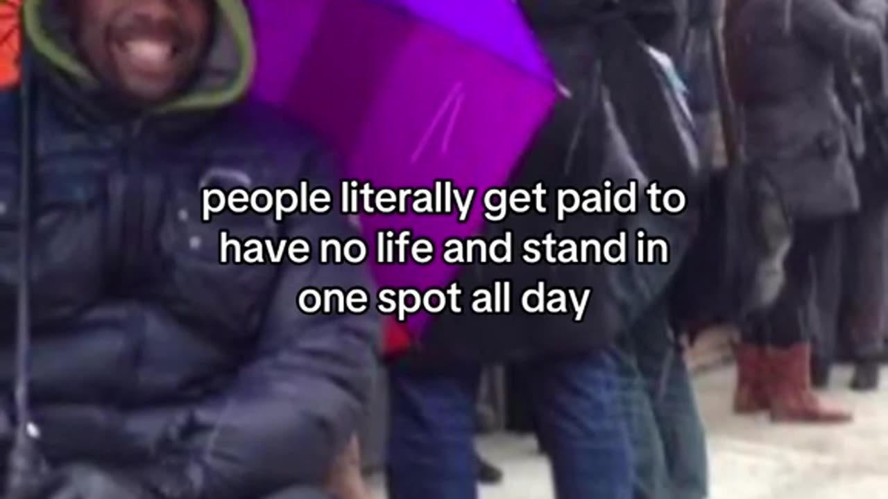 Craziest Jobs People Actually Get Paid To Do