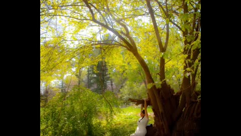 Micro-level events in Isolation