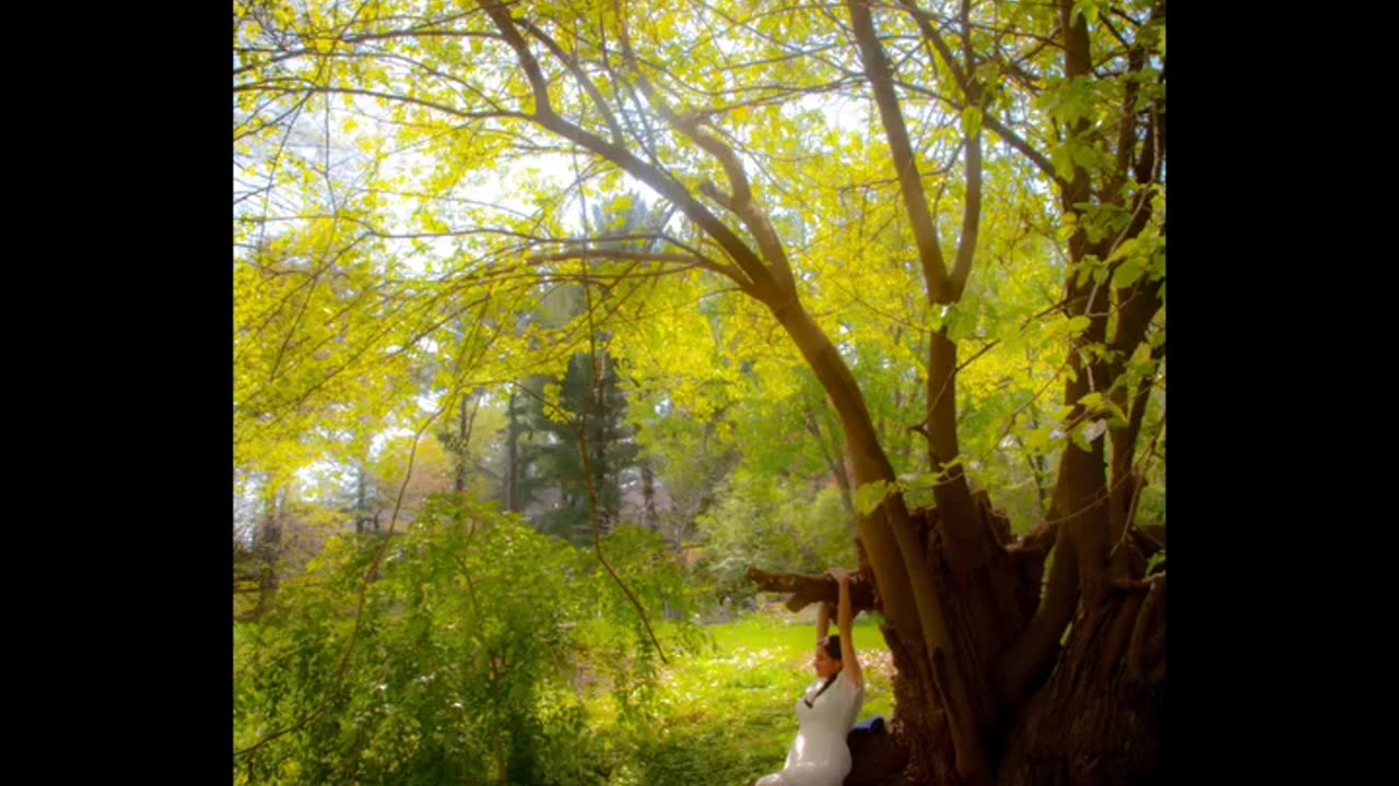 Micro-level events in Isolation