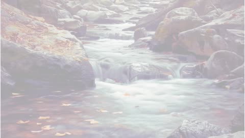 Forgiveness and Understanding
