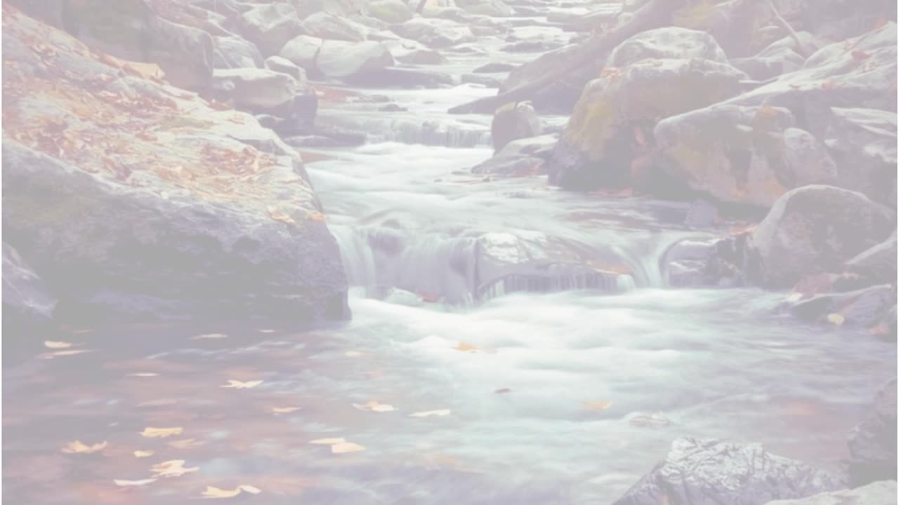 Forgiveness and Understanding