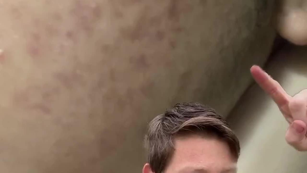 Got Mold