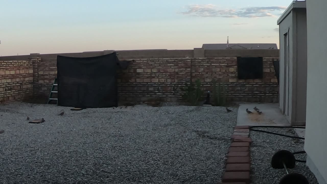 5:30 AM
