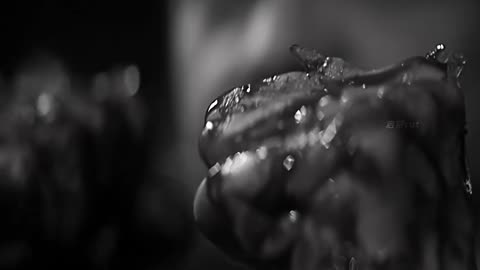 What is it like to have no sense of pain?