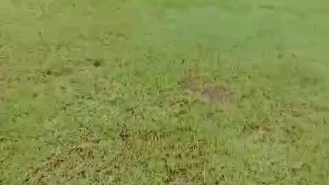 Stadion Lodaya Mariuk Subang Indonesia