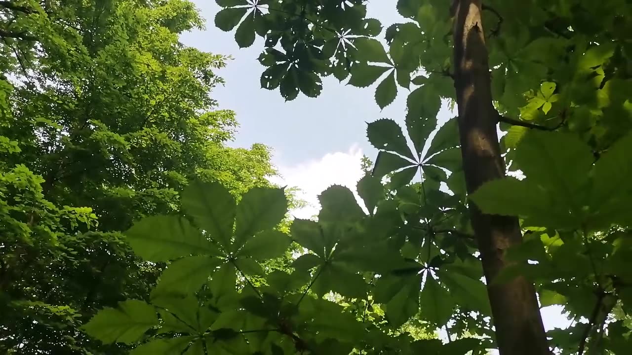popisałam się głupotą ...