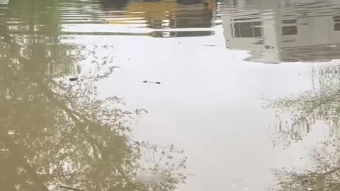 WOW! I don't know how he pulled it off 👍🤙