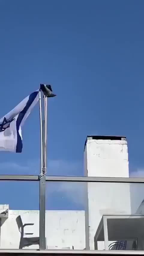 Even birds hate the criminal state of Israel.