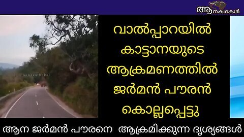 വാൽപ്പാറയിൽ കാട്ടാനയുടെ ആക്രമണത്തിൽ ജർമൻ പൗരൻ കൊല്ലപ്പെട്ടു. _ wild elephant attack kerala