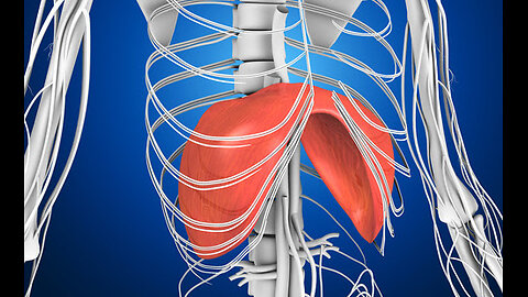 The Silent Muscle: How Diaphragm Weakness & Drug-Induced Paralysis Cause Cardiac Collapse & Death