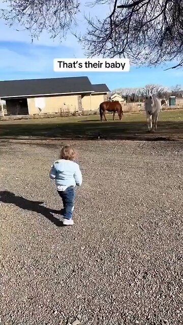 Love All Life Always #518 - That’s Their Baby Too! Love Is The Universal Language Of All Creatures.