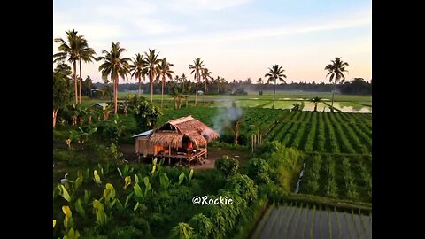Your living in the province☘ 🍃