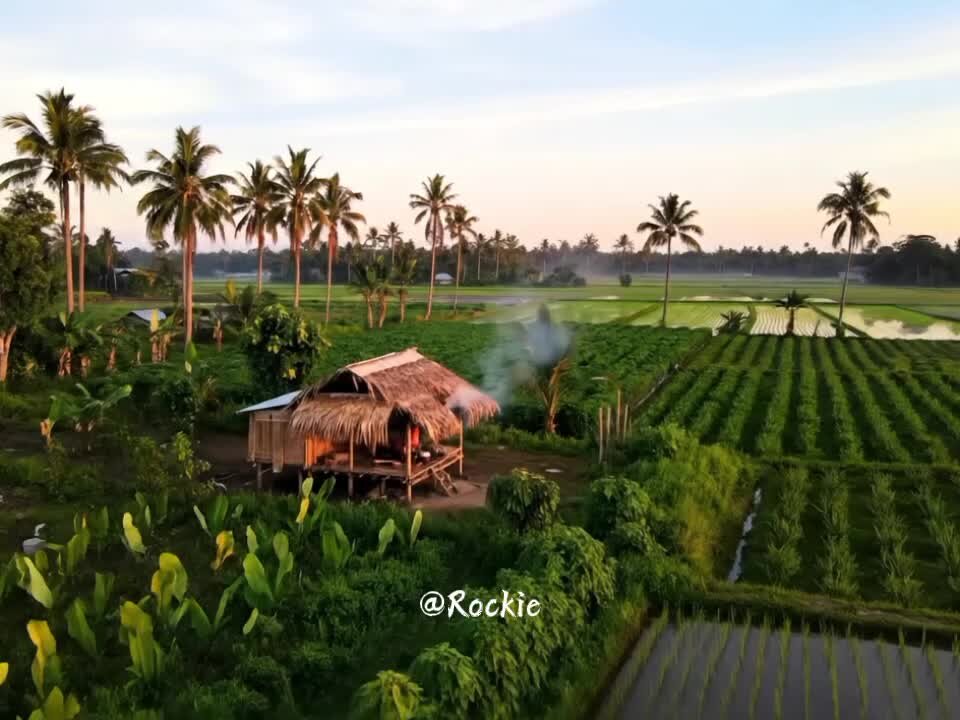 Your living in the province☘ 🍃