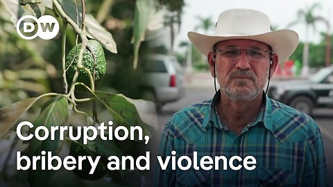 The cartels that control Mexico's mega market | DW Documentary